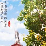 闽南有情天头像