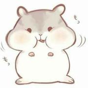 小涛的个人资料头像