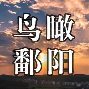 鄱阳吴健头像