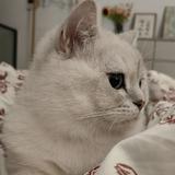 Me涂头像