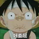 木木大的个人资料头像