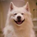 Jinsist的个人资料头像