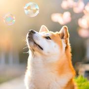 微游人的个人资料头像