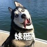 奶茶小羅头像