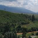 阿童木君82357的个人资料头像