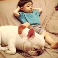 用户2590452937292头像