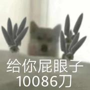 我姓乔的个人资料头像