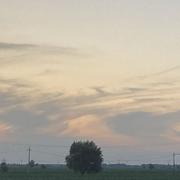 活着真好的个人资料头像