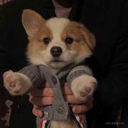 琦玉呀的个人资料头像