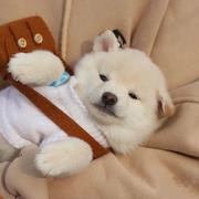 阳光调剂师的个人资料头像