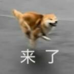 星星197的个人资料头像