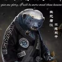 甬道成头像