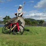 圆圆的竹子头像