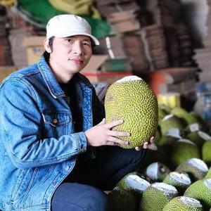 阿甘甄选头像