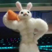 StrongRabbit的个人资料头像
