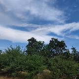没裤的酷儿头像