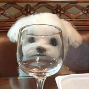 EthanBao27的个人资料头像