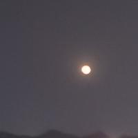 乖巧梦想Txx头像