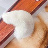 小胖子的嘟嘟步头像