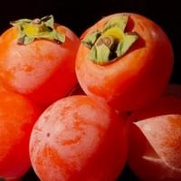 用户76870780头像