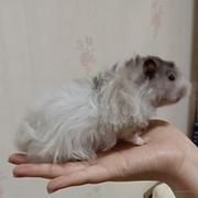 miss1994的个人资料头像