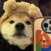 用户3529378924597头像