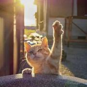 沉梦昂志3399的个人资料头像