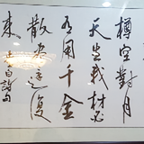 简6299头像