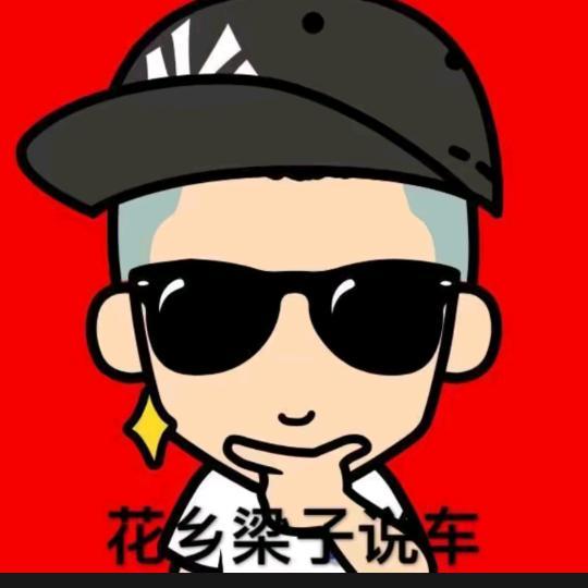 北京梁子严选车头像