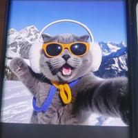 大脸锚酱酱头像