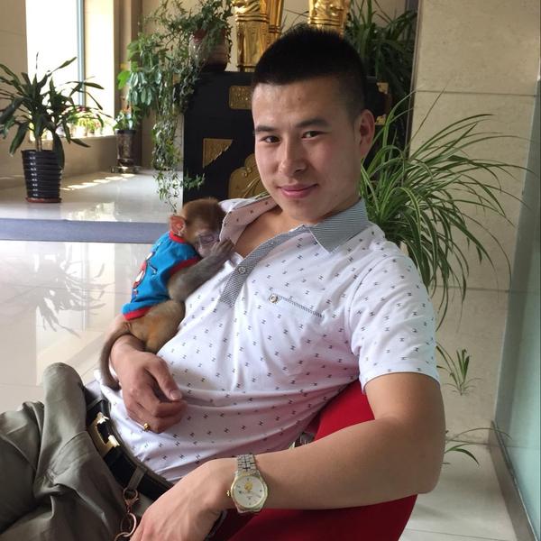 疯狂的锋子头像