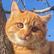 PandaHiHiHi的个人资料头像