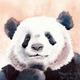 盼达Panda · 探险者车主·车龄3年头像