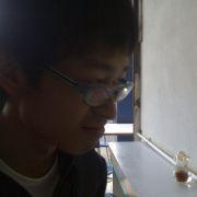 陈俊明依然我行我素的个人资料头像