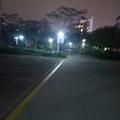咚巴拉呀咚巴拉086头像