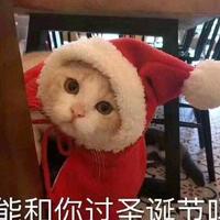 MaxZhang7头像