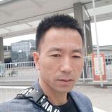 幽默枫叶04k头像