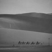 yellow1475151576142的个人资料头像