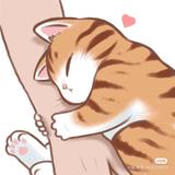 悠闲小群主喵喵头像