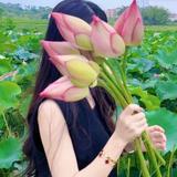 奇妙奶茶dQm头像