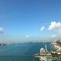 用户6659358122816头像