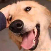 henry_he的个人资料头像