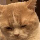 我也想和你们一起玩的个人资料头像