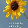 勇者精灵z头像