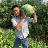 鲜果先生希望果业头像