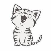 不喝奶茶早睡早起的乐乐的个人资料头像