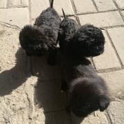 呀哈的个人资料头像