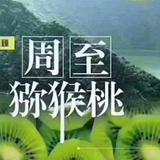 来自树枝头的果子头像