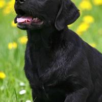 用户8786905028651头像