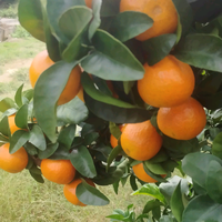 广西益民农业头像